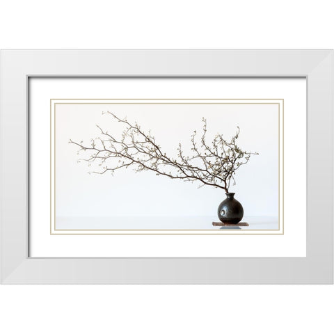 Vase And Branch White Modern Wood Framed Art Print with Double Matting by Prbimages