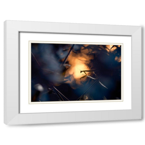 Wormhole Distorsion White Modern Wood Framed Art Print with Double Matting by Bravin, Fabien