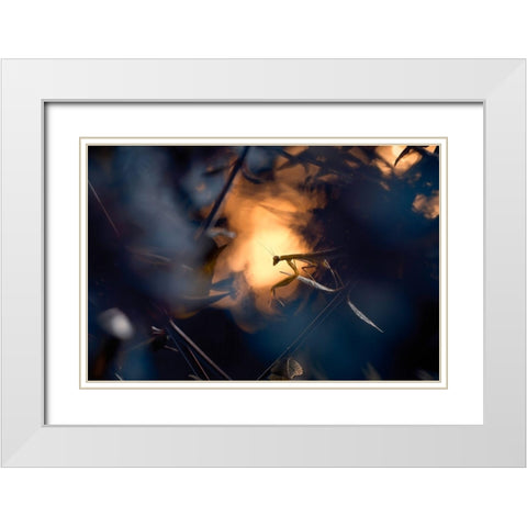 Wormhole Distorsion White Modern Wood Framed Art Print with Double Matting by Bravin, Fabien