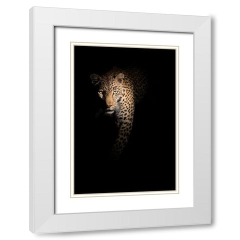 Out of the darkness White Modern Wood Framed Art Print with Double Matting by Guijt, Richard