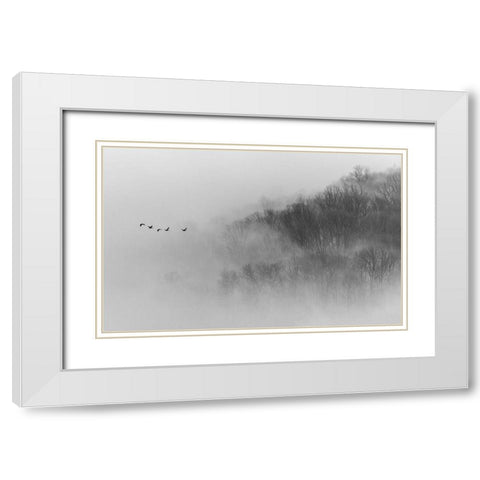 Above Mist White Modern Wood Framed Art Print with Double Matting by Austin