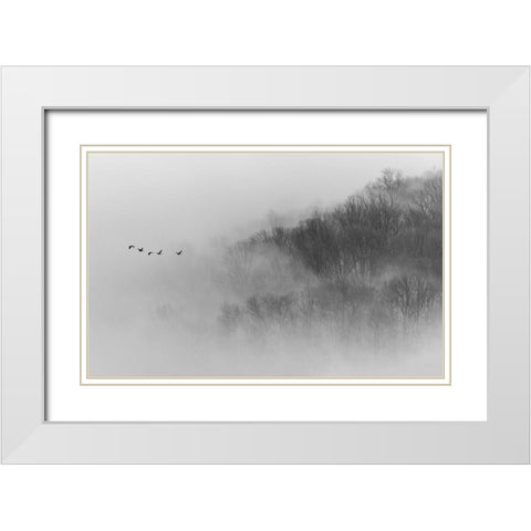 Above Mist White Modern Wood Framed Art Print with Double Matting by Austin