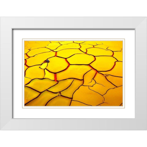 Yellow ground red heart White Modern Wood Framed Art Print with Double Matting by De Juan, E.