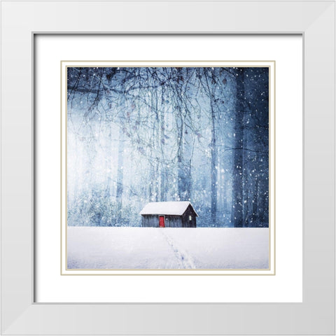 Winter White Modern Wood Framed Art Print with Double Matting by Hamiti, Bess