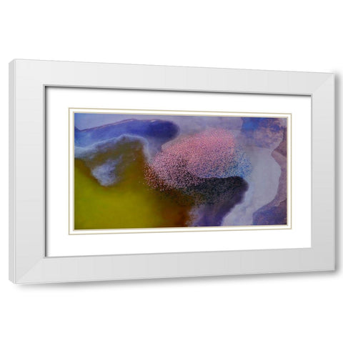 Incredible colors White Modern Wood Framed Art Print with Double Matting by Chang, Phillip
