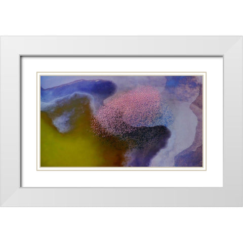 Incredible colors White Modern Wood Framed Art Print with Double Matting by Chang, Phillip