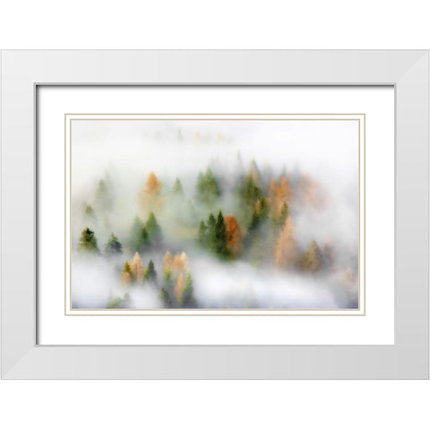 Autumn Dream White Modern Wood Framed Art Print with Double Matting by Rems, Kristjan