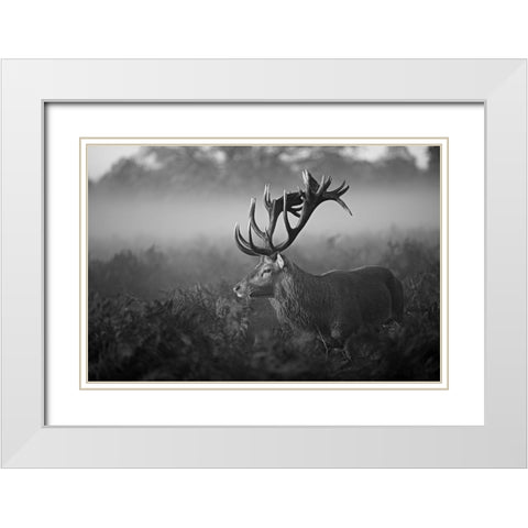 Sunny Morning White Modern Wood Framed Art Print with Double Matting by Fabrowski, Robert