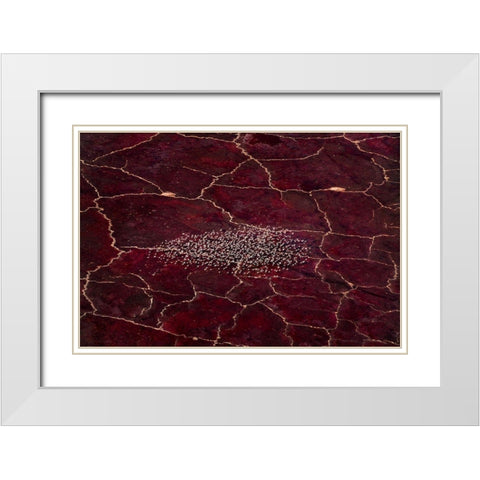 Red Planet White Modern Wood Framed Art Print with Double Matting by Fan, John