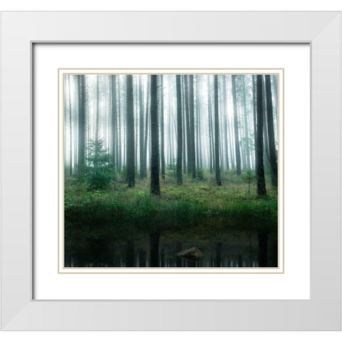Lake in forest White Modern Wood Framed Art Print with Double Matting by Lindsten, Christian