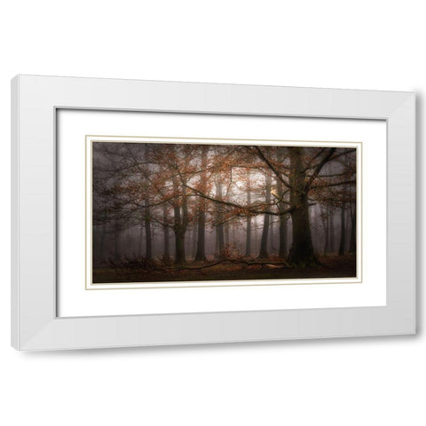 Foggy memory  of the past White Modern Wood Framed Art Print with Double Matting by Dingemans, Saskia