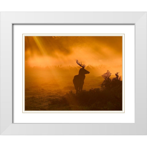 Guard Of Light White Modern Wood Framed Art Print with Double Matting by Fabrowski, Robert
