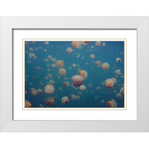 Oddworld White Modern Wood Framed Art Print with Double Matting by Xavier, Piron