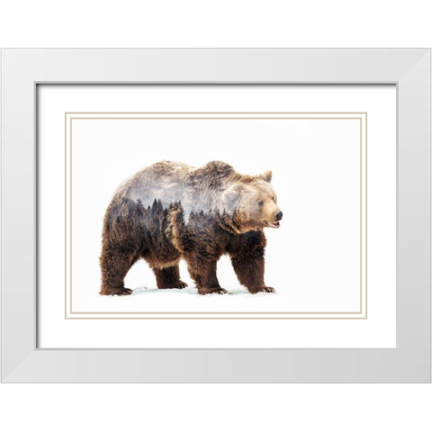 Bear White Modern Wood Framed Art Print with Double Matting by Beata, Angyalosi