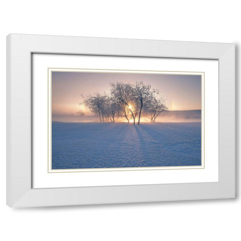 Swan Lake White Modern Wood Framed Art Print with Double Matting by Z, Bingo