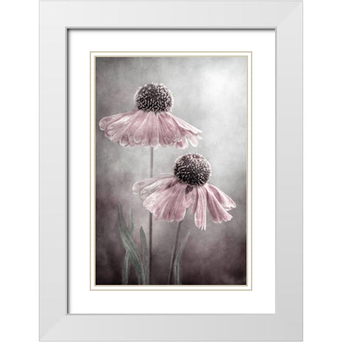 Duet White Modern Wood Framed Art Print with Double Matting by Disher, Mandy