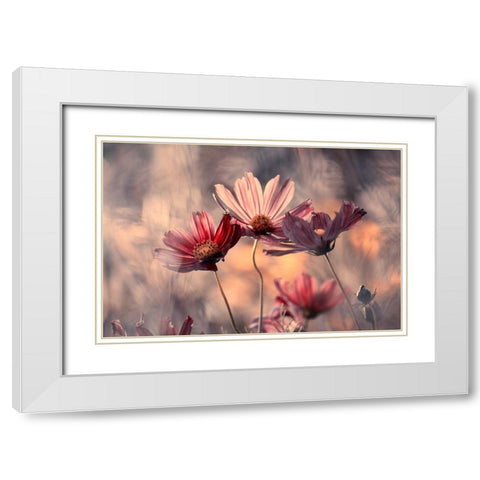 The three sisters White Modern Wood Framed Art Print with Double Matting by Bravin, Fabien