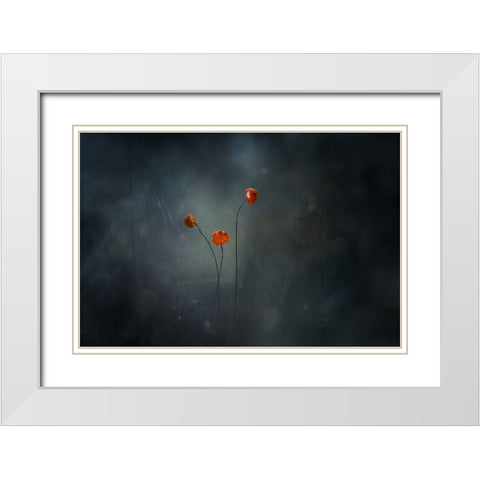 Little Mushrooms White Modern Wood Framed Art Print with Double Matting by Gapur Dayak, Abdul