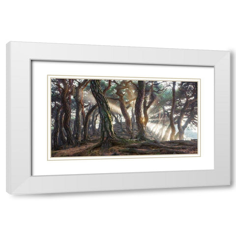 Sacred Pine Trees White Modern Wood Framed Art Print with Double Matting by Ryu, Jaeyoun