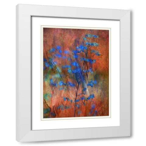 Colors Dance on Flowers White Modern Wood Framed Art Print with Double Matting by Devos, Delphine