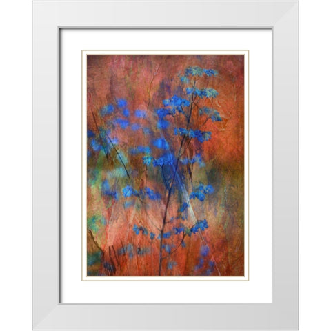 Colors Dance on Flowers White Modern Wood Framed Art Print with Double Matting by Devos, Delphine