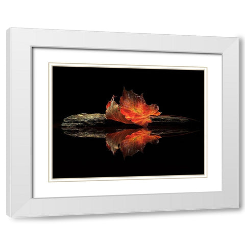 autumn colors White Modern Wood Framed Art Print with Double Matting by Ianeva, Aida