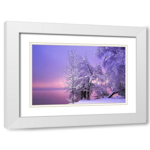 Stillness White Modern Wood Framed Art Print with Double Matting by Maier, Norbert
