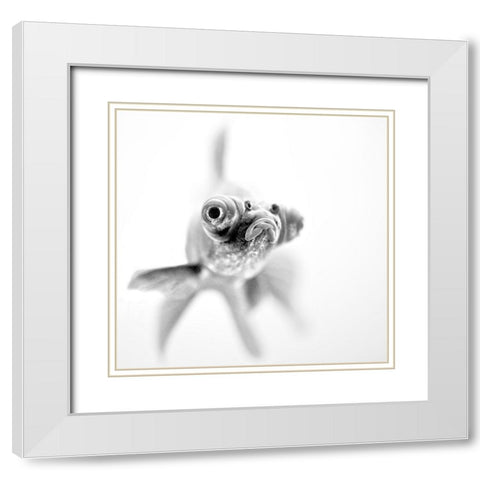 Im ready for my close up White Modern Wood Framed Art Print with Double Matting by Paul