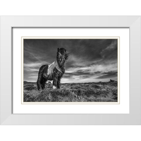 Two of a kind White Modern Wood Framed Art Print with Double Matting by Ingibergsson, Bragi