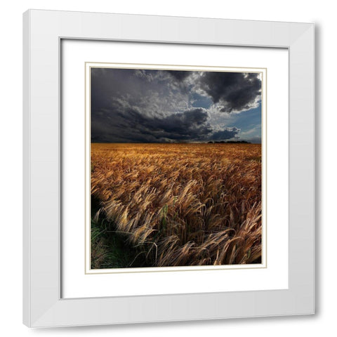 Strohgaeu White Modern Wood Framed Art Print with Double Matting by Schumacher, Nicolas