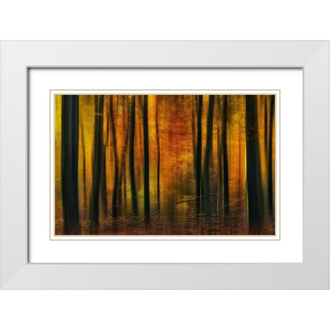 Autumn falls White Modern Wood Framed Art Print with Double Matting by Paul Kraaij, Jan