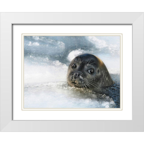 do you have a fish ? White Modern Wood Framed Art Print with Double Matting by Droste, Holger