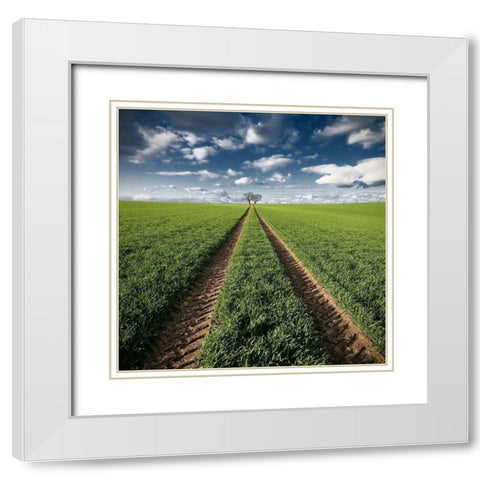 Trace and Trees White Modern Wood Framed Art Print with Double Matting by Meyerdierks, Carsten