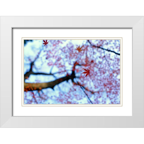 heirinji White Modern Wood Framed Art Print with Double Matting by Tomihisa, Kouji