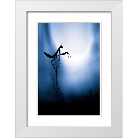 Last Night On Earth White Modern Wood Framed Art Print with Double Matting by Bravin, Fabien