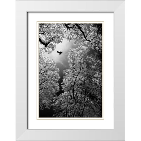 Flight White Modern Wood Framed Art Print with Double Matting by Stamenkovic, Goran