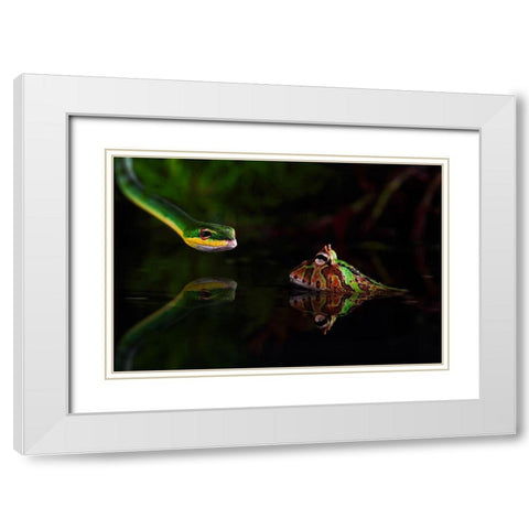 Courage White Modern Wood Framed Art Print with Double Matting by Shikhei, Courage