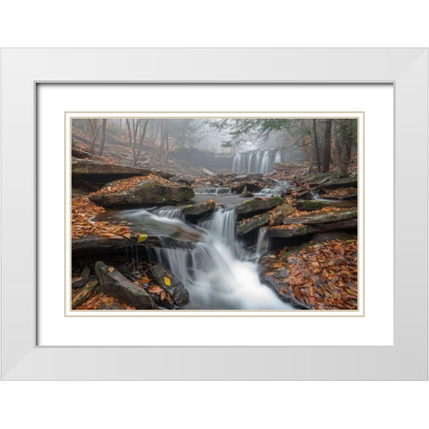Morning Fog White Modern Wood Framed Art Print with Double Matting by Kalathas, Nick