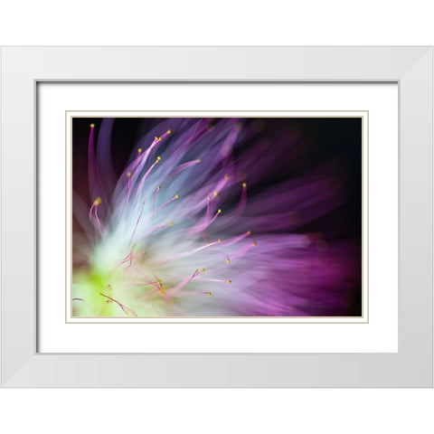 The Will-o-the-Wisp White Modern Wood Framed Art Print with Double Matting by Lionse, Art