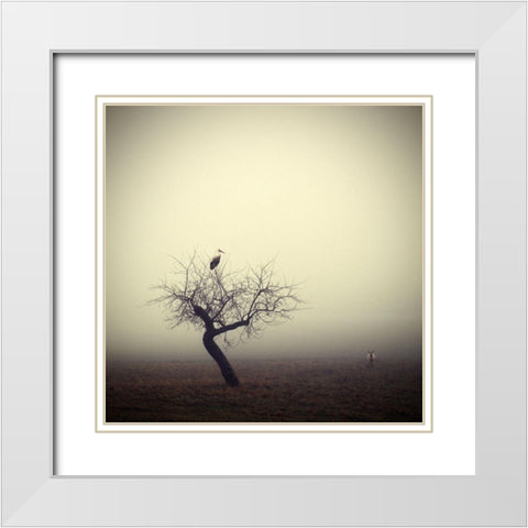 Meeting in the morning White Modern Wood Framed Art Print with Double Matting by Droste, Holger