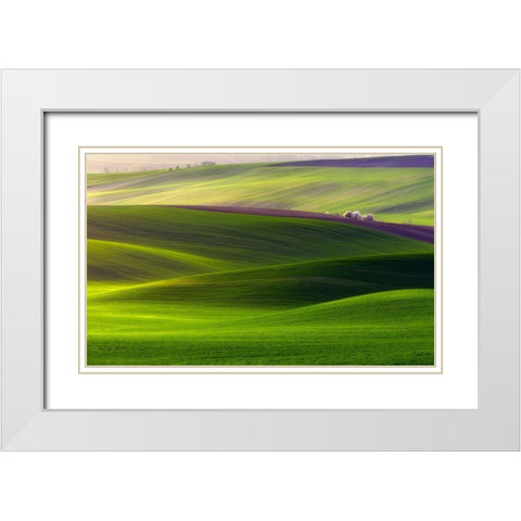 Verdant land White Modern Wood Framed Art Print with Double Matting by Krol (Bax), Piotr