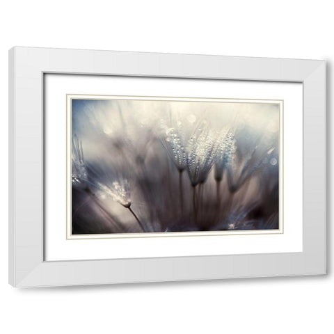 The forest White Modern Wood Framed Art Print with Double Matting by Dam, Thomas