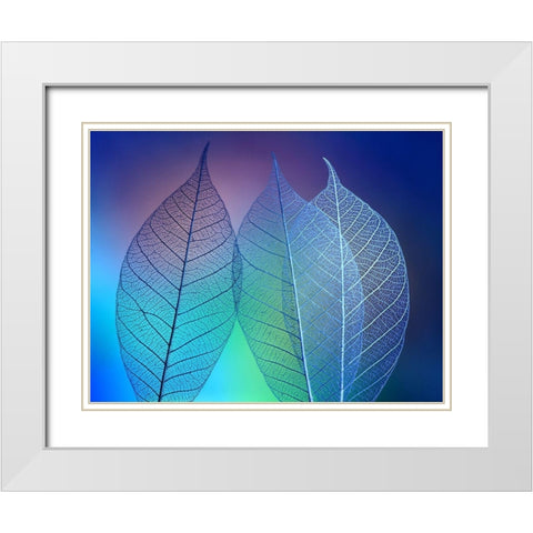 Prismatic leafs White Modern Wood Framed Art Print with Double Matting by Kowatari, Shihya