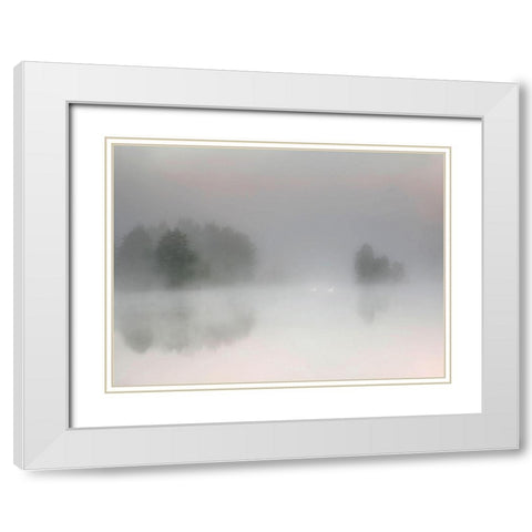 Misty morning White Modern Wood Framed Art Print with Double Matting by Emanuelson, Bjorn