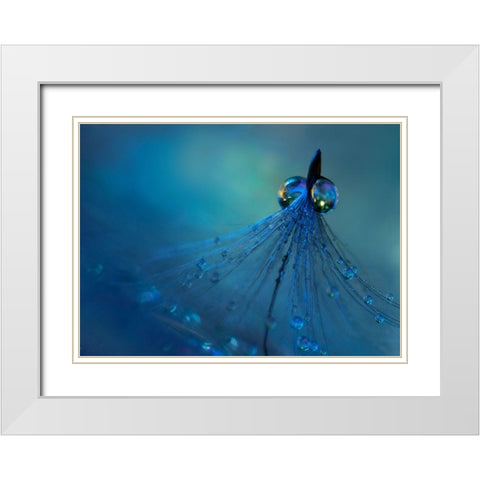 Dancing into the blue night White Modern Wood Framed Art Print with Double Matting by Westum, Heidi