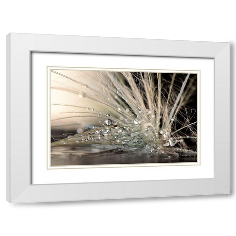 Pearls White Modern Wood Framed Art Print with Double Matting by Zahirimehr, Maryam