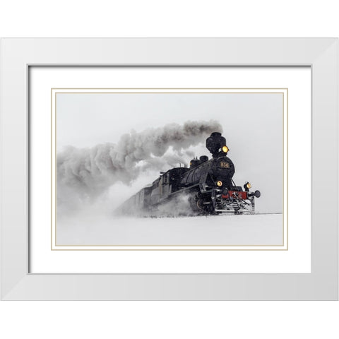 Little Jumbo White Modern Wood Framed Art Print with Double Matting by Aho, Harri