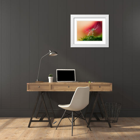 Red Morning White Modern Wood Framed Art Print with Double Matting by Westum, Heidi