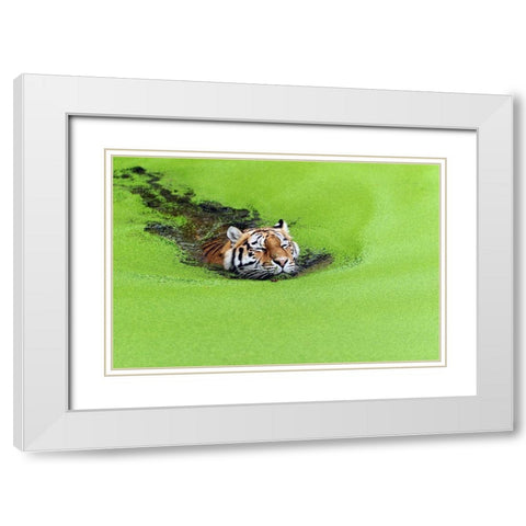 Relaxation White Modern Wood Framed Art Print with Double Matting by Keller