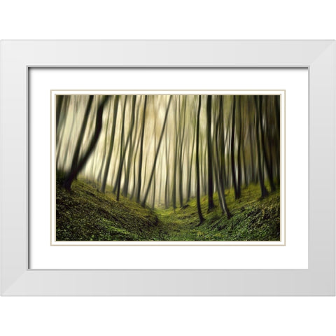 Run forest run White Modern Wood Framed Art Print with Double Matting by Krivec, Samanta